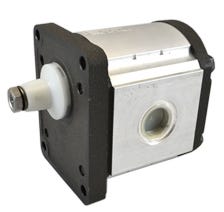Anti-Clockwise, Cast Iron, European 4 Bolt Flange, Group 3 Gear Pumps